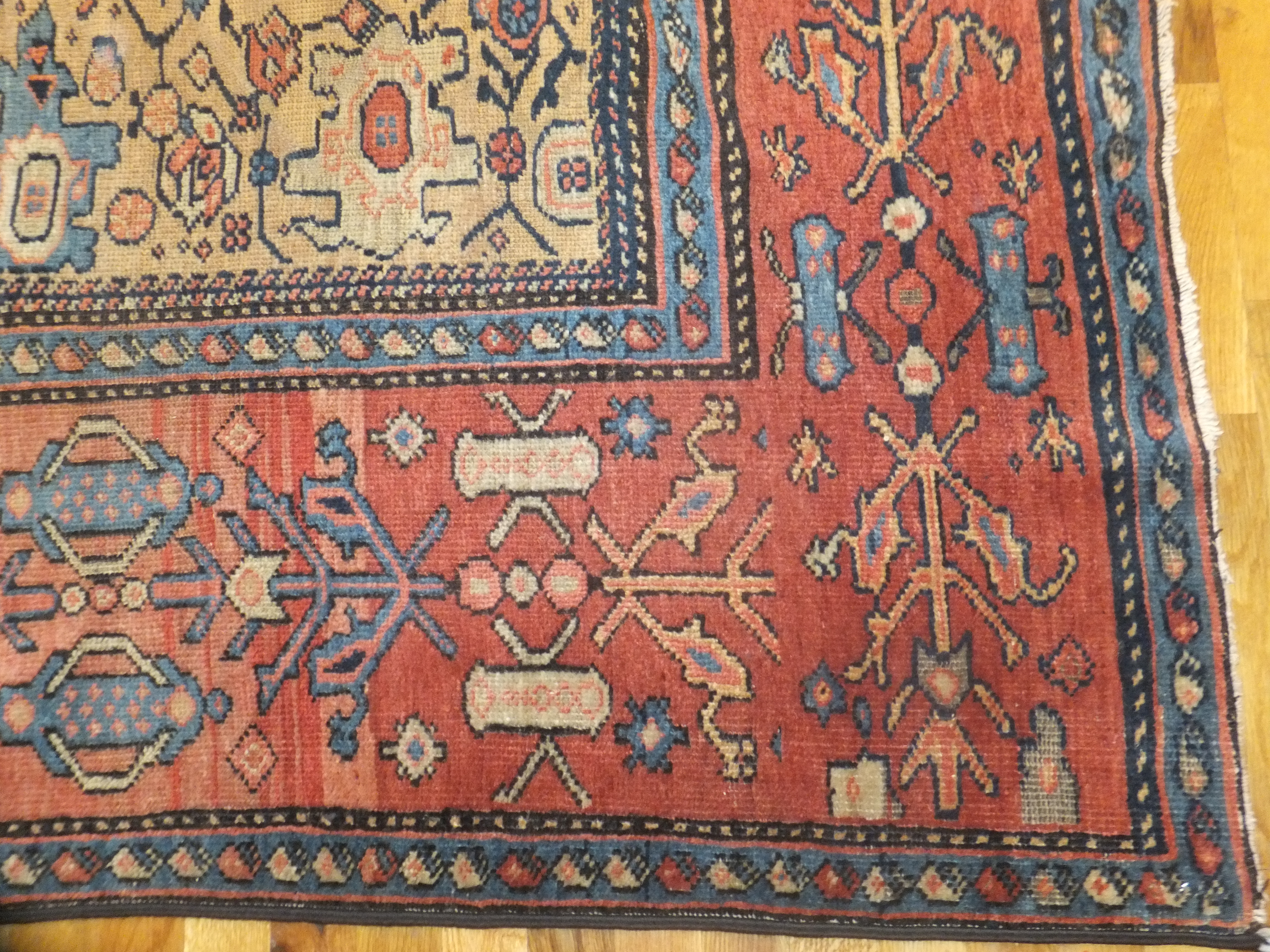Rug image
